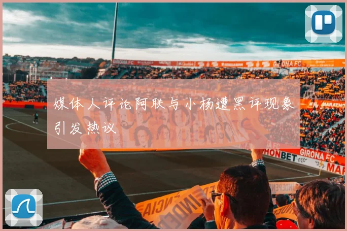 媒体人评论阿联与小杨遭黑评现象引发热议