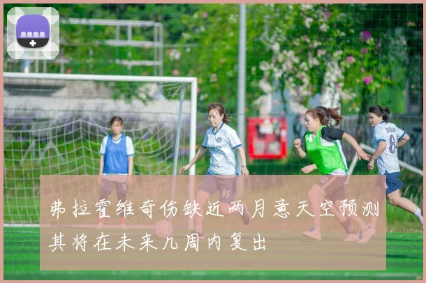 弗拉霍维奇伤缺近两月意天空预测其将在未来几周内复出